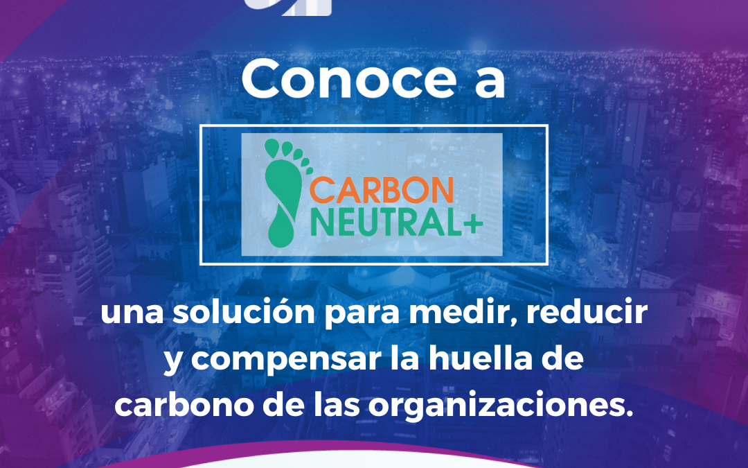 Fondo CCI. Conoce a Carbón Neutral+ una solución para medir, reducir y compensar la huella de carbono de las organizaciones. 